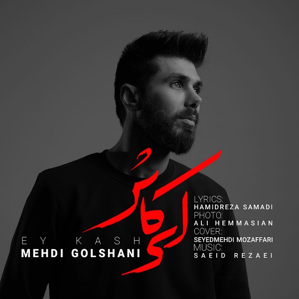 دانلود آهنگ مهدی گلشنی ای کاش